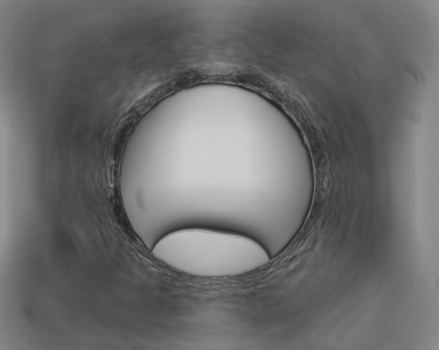 X0000113981301200910020940