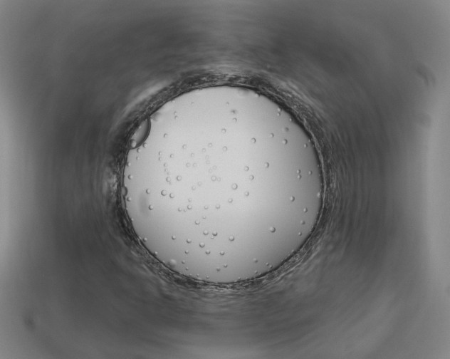 X0000113981302200910020941