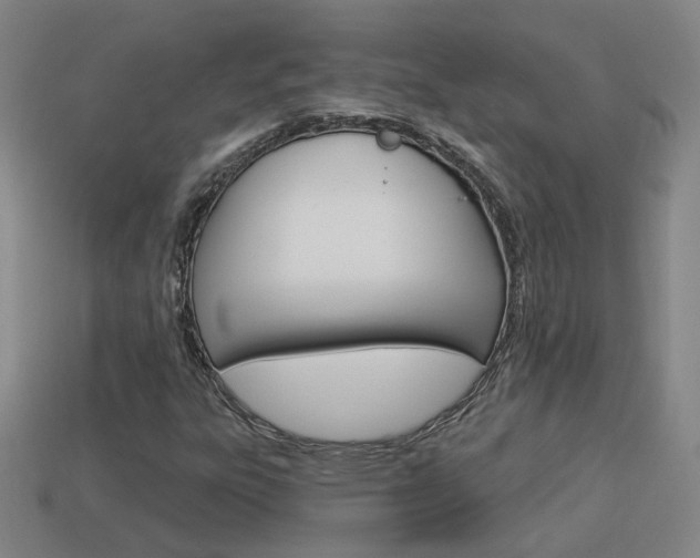 X0000113981303200910020941