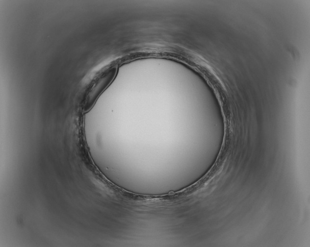 X0000113981304200910020941