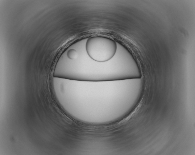 X0000113981305200910020941