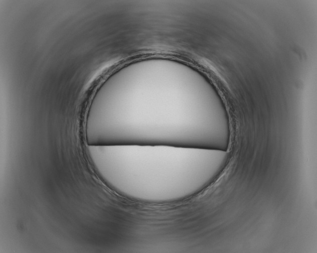 X0000113981307200910020941