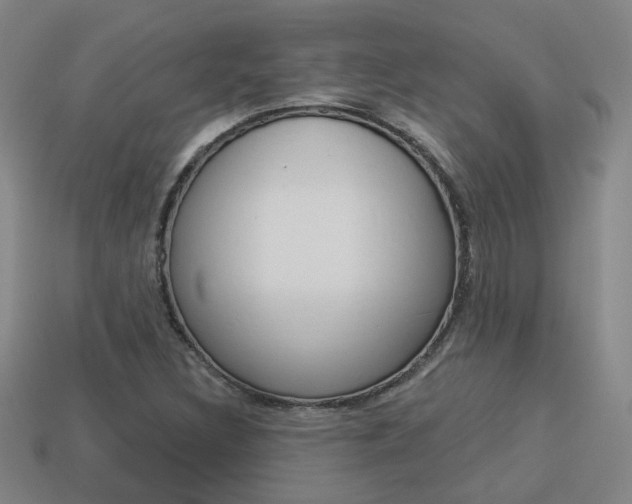X0000113981308200910020941