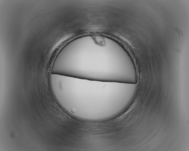 X0000113981309200910020941