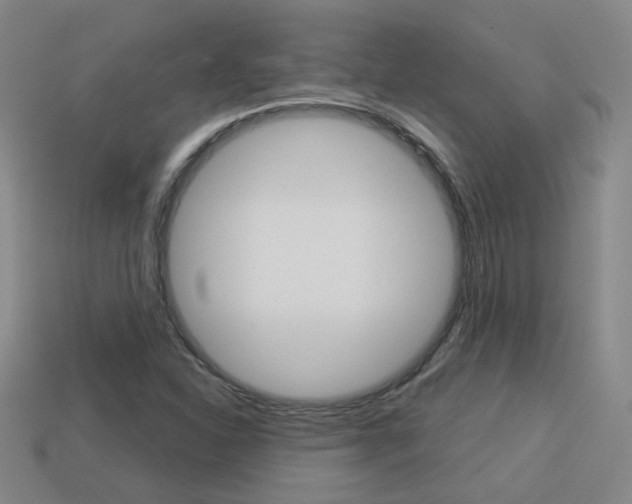 X0000113981310200910020941