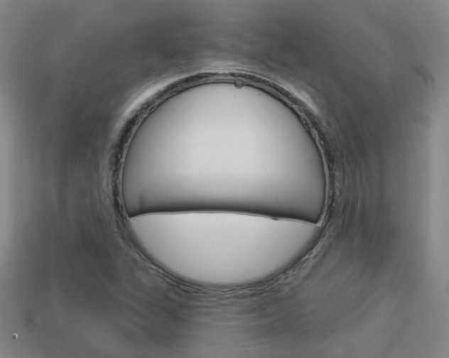 X0000113981311200910020941