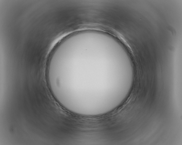 X0000113981312200910020941