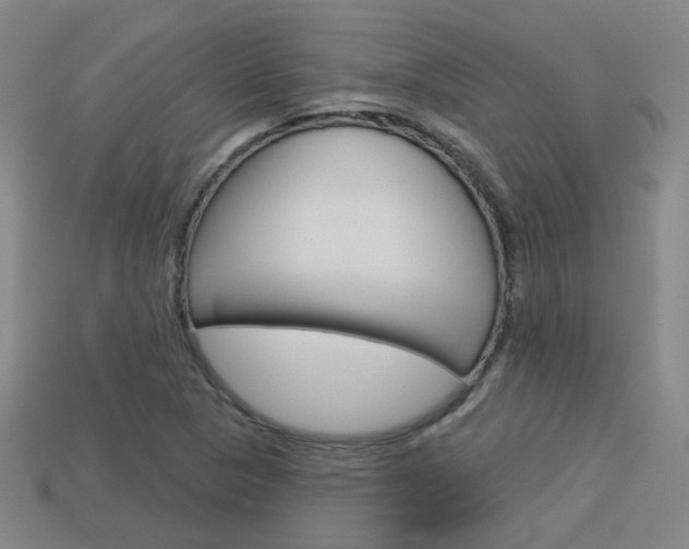 X0000113981313200910020941