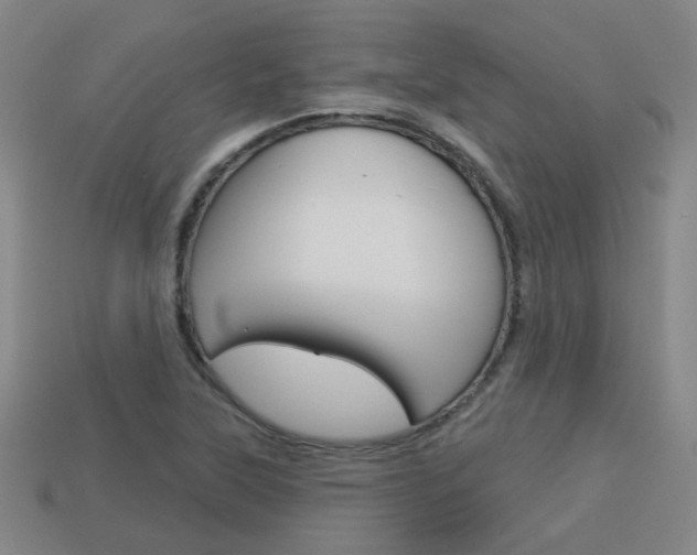 X0000113981315200910020941
