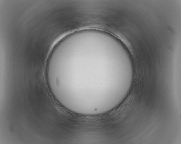 X0000113981316200910020941