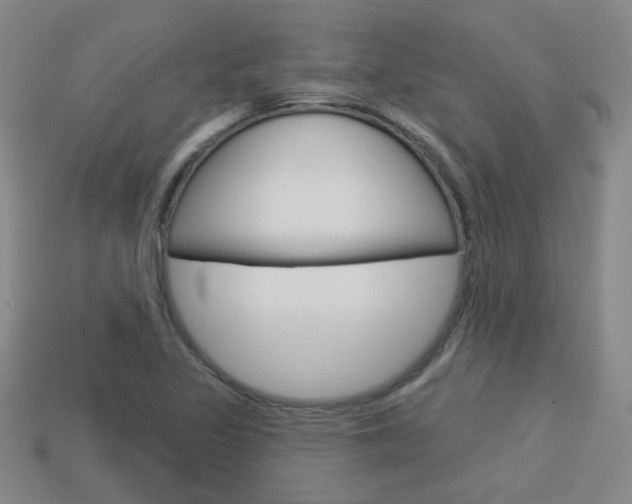 X0000113981317200910020941