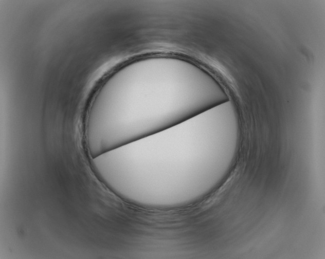 X0000113981318200910020941