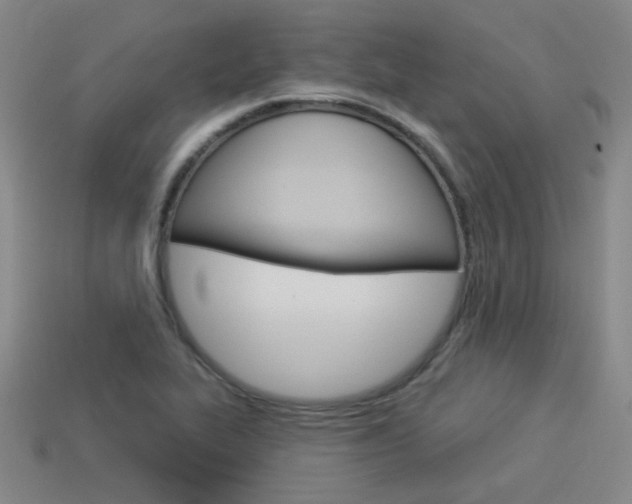 X0000113981319200910020941