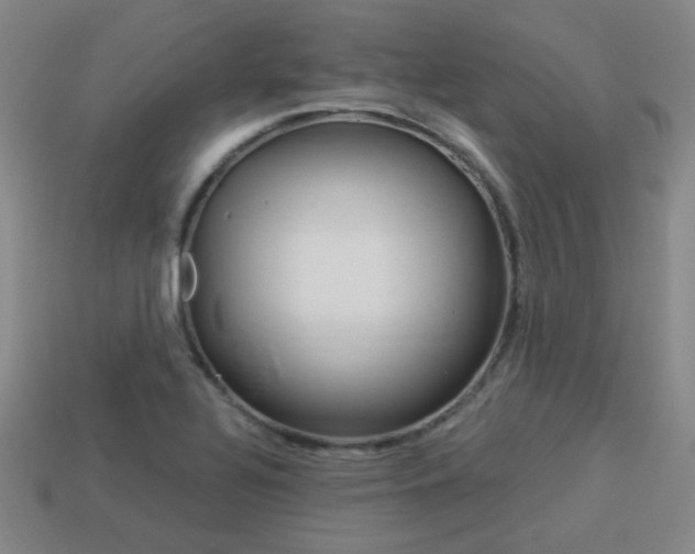 X0000113981320200910020941