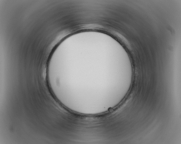 X0000113981322200910020941