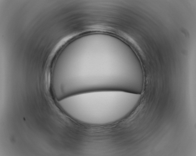 X0000113981323200910020941
