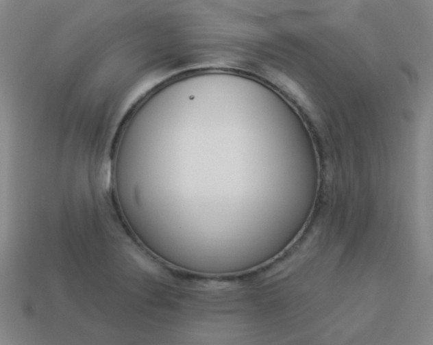 X0000113981324200910020941