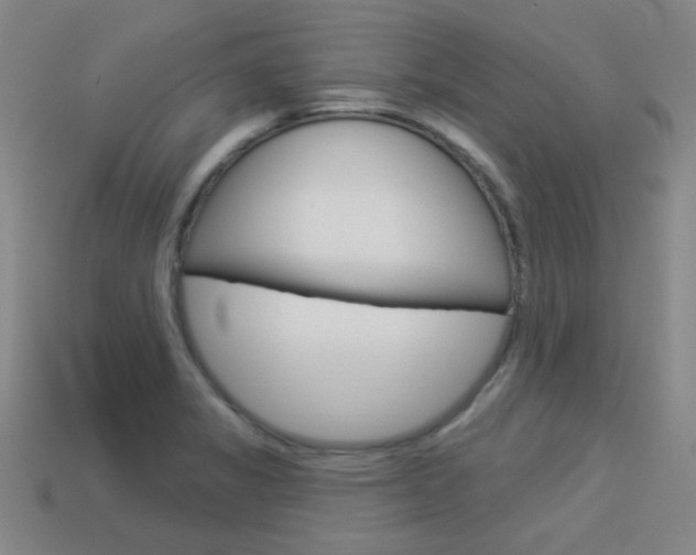 X0000113981325200910020941