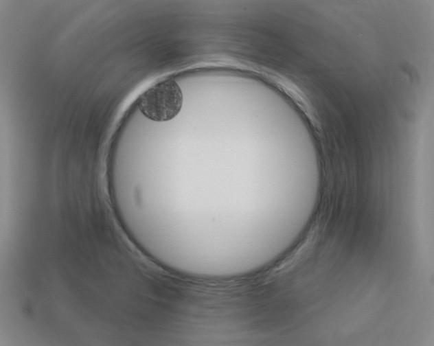 X0000113981326200910020941