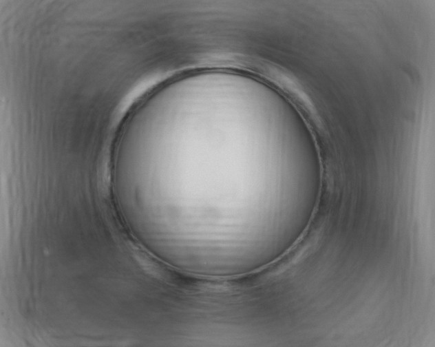 X0000113981328200910020941