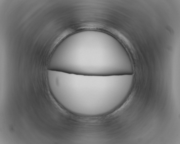X0000113981329200910020941