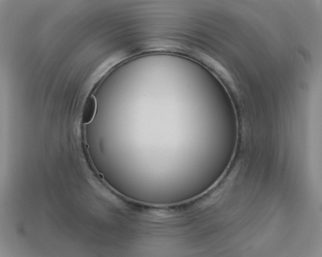 X0000113981330200910020941