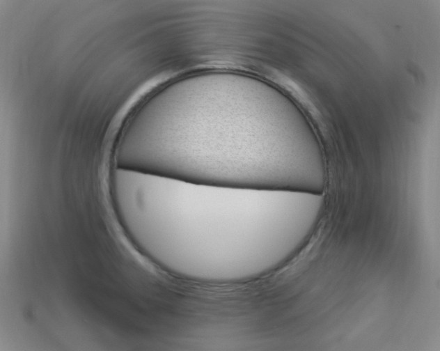 X0000113981331200910020941