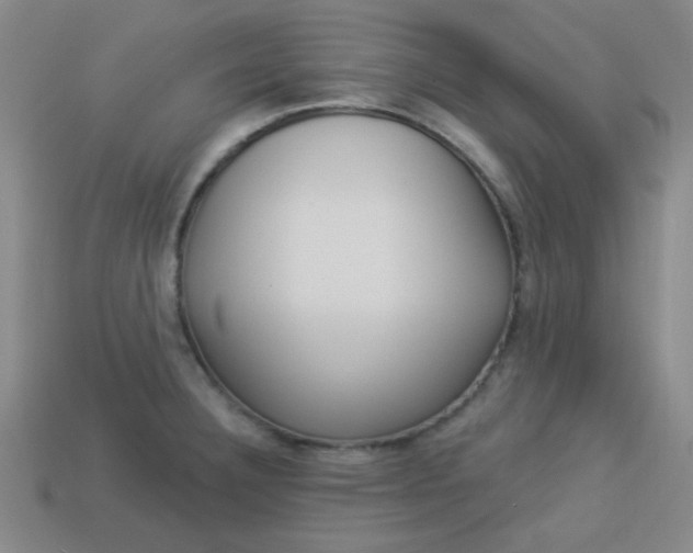 X0000113981332200910020941