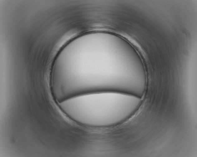 X0000113981333200910020941