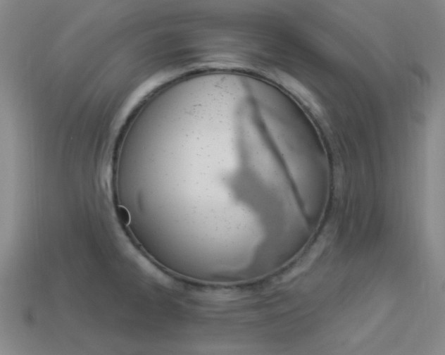 X0000113981334200910020941