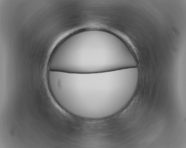 X0000113981335200910020941
