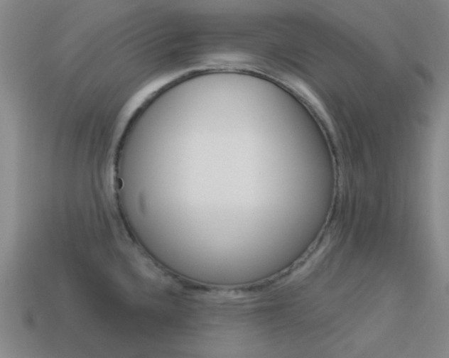 X0000113981336200910020941