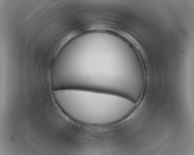 X0000113981337200910020941