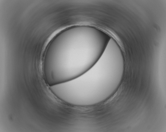 X0000113981340200910020941