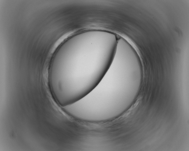 X0000113981341200910020941