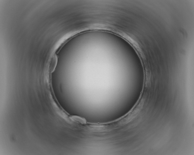 X0000113981342200910020941