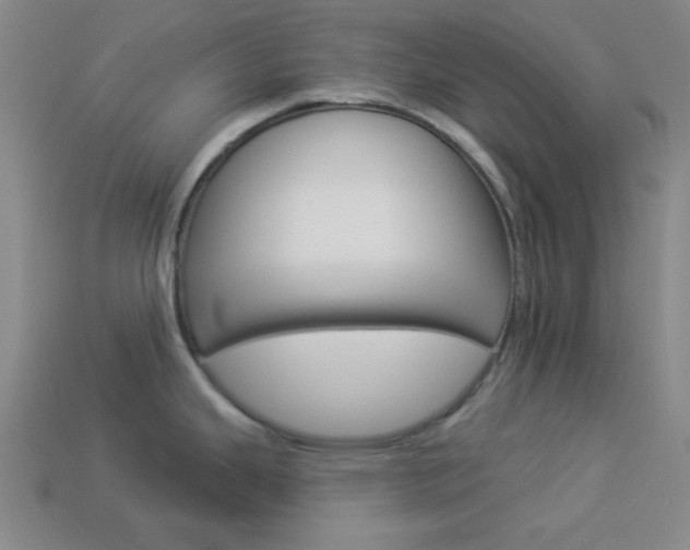 X0000113981343200910020941