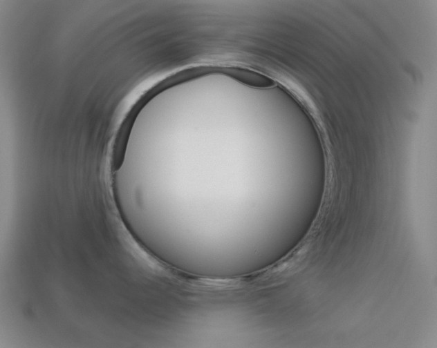 X0000113981344200910020941