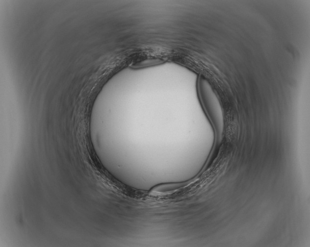X0000113981345200910020940