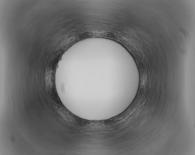 X0000113981346200910020940
