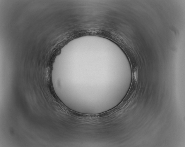 X0000113981347200910020940