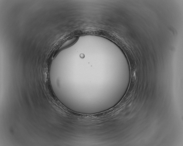 X0000113981348200910020940