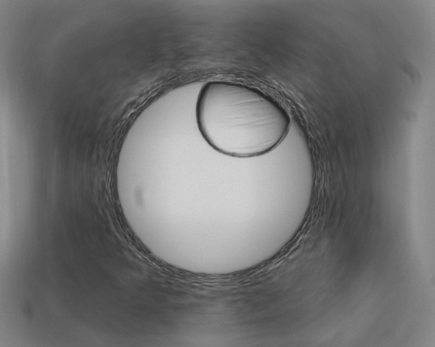 X0000113981349200910020940