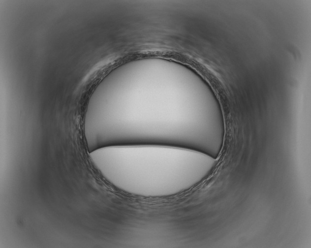 X0000113981351200910020940