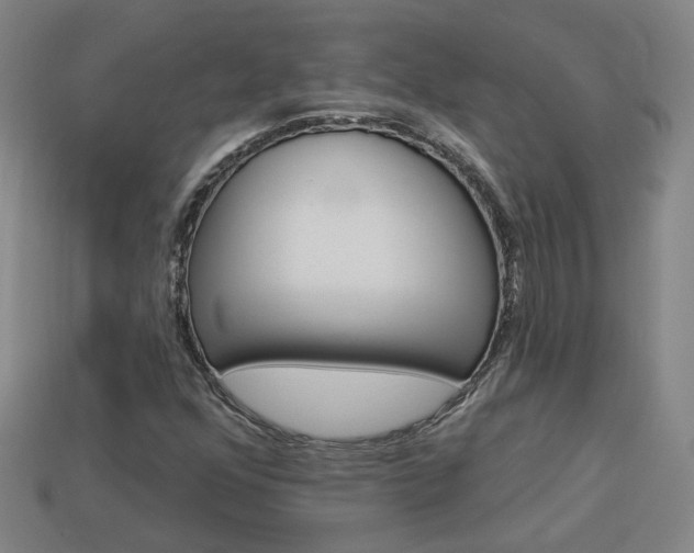 X0000113981352200910020940