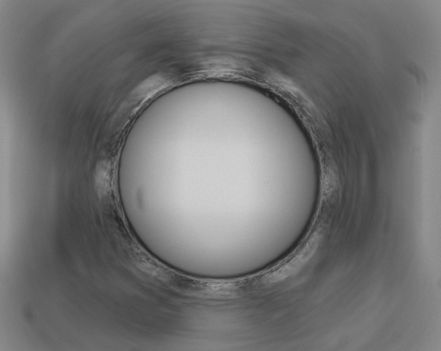 X0000113981353200910020940