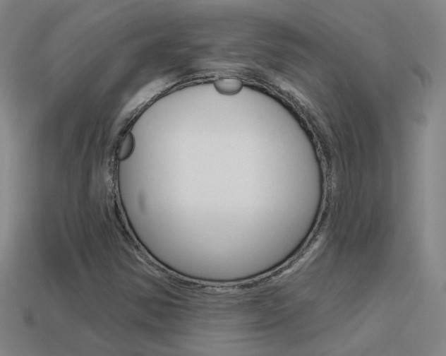 X0000113981354200910020940