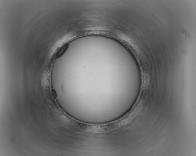 X0000113981357200910020940