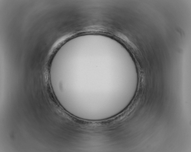 X0000113981358200910020940