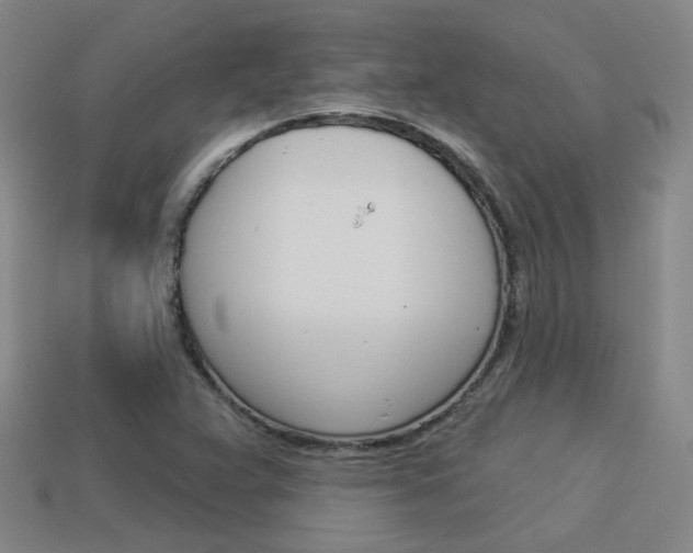 X0000113981359200910020940